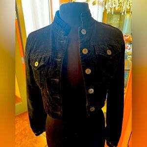 Paris blues velvet cropped jacket